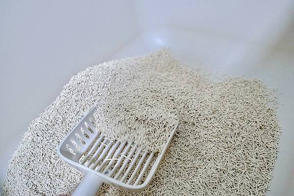 貓砂界的神救援!K.O.稻殼貓砂實測心得💥馬桶不卡、除臭力爆