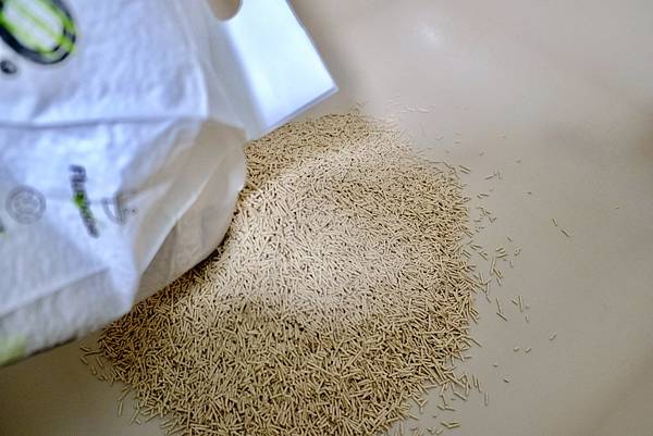 貓砂界的神救援!K.O.稻殼貓砂實測心得💥馬桶不卡、除臭力爆