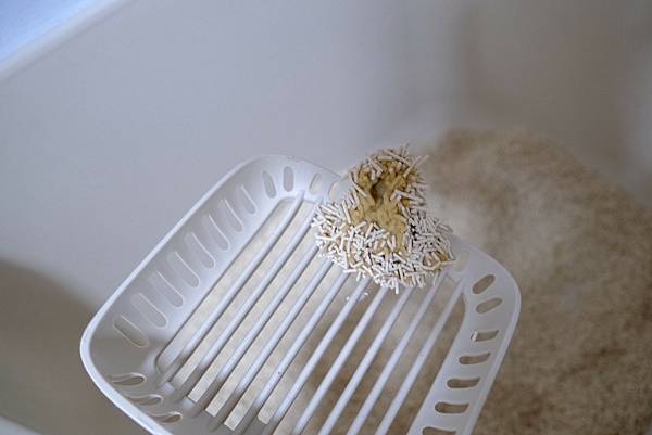 貓砂界的神救援!K.O.稻殼貓砂實測心得💥馬桶不卡、除臭力爆