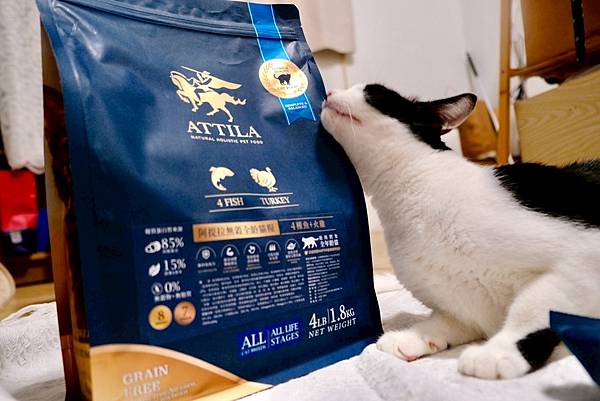 點點居然吃光乾糧？！🐟我找到她的真愛了｜ATTILA 阿提拉