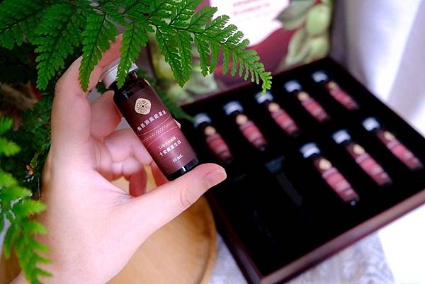 梅菁輕飲日常｜12年森林發酵的秘密，隨身安瓶給你自然舒暢感 