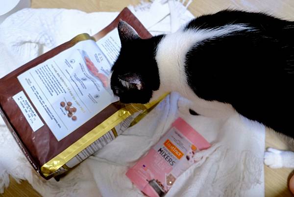 貓奴必看!美國原點Instinct皇極貓飼料開箱|我的挑食貓