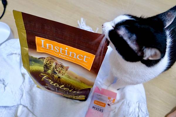 貓奴必看!美國原點Instinct皇極貓飼料開箱|我的挑食貓