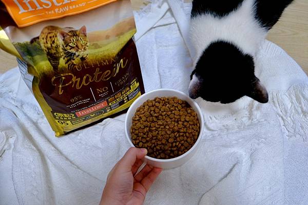 貓奴必看!美國原點Instinct皇極貓飼料開箱|我的挑食貓
