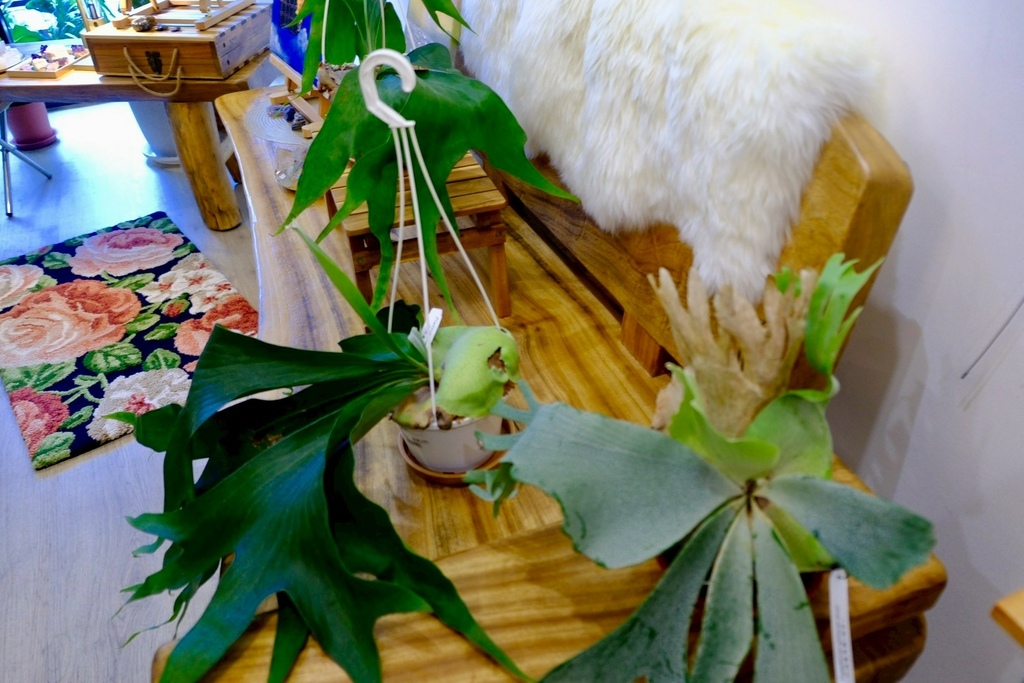 療癒藝術肌理畫!帶走屬於你的一片海洋跟正能量蝴蝶|三天解決不