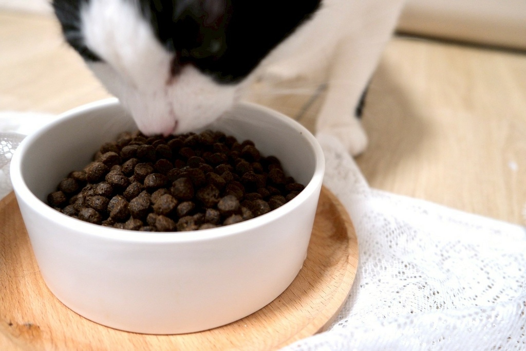 【Elato杜莎評價】我家6歲挑嘴貓也投降！73%高肉含量 