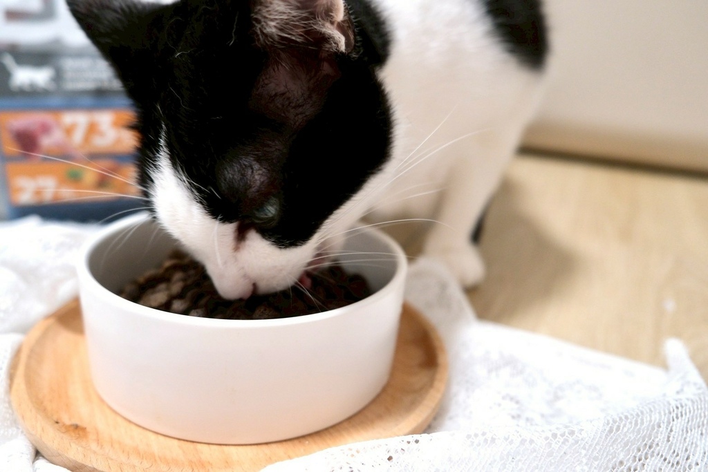 【Elato杜莎評價】我家6歲挑嘴貓也投降！73%高肉含量 