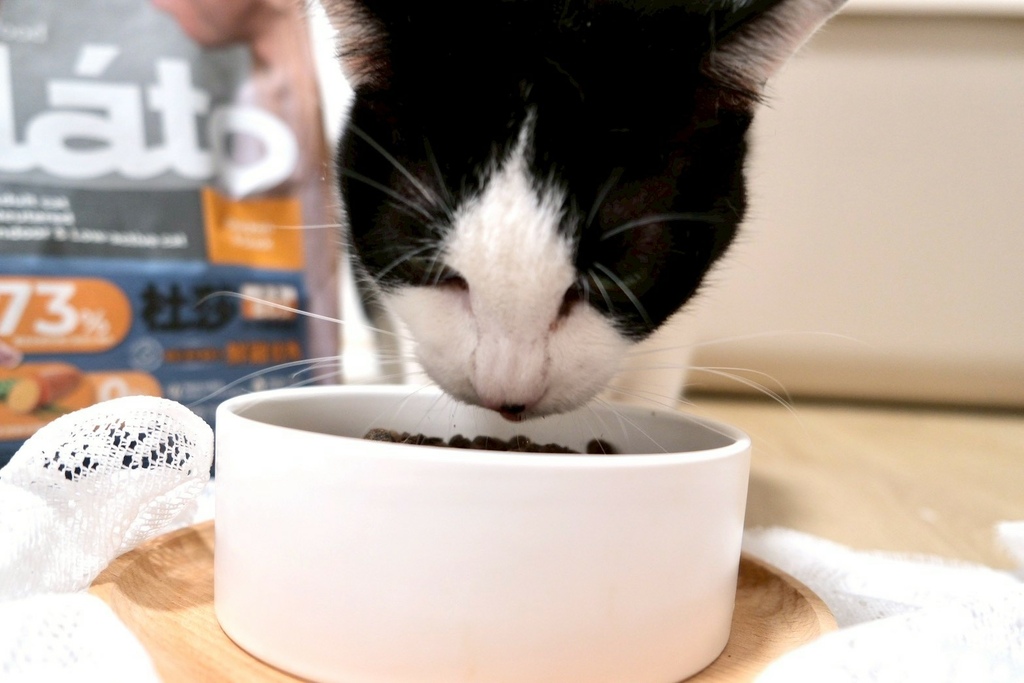 【Elato杜莎評價】我家6歲挑嘴貓也投降！73%高肉含量 