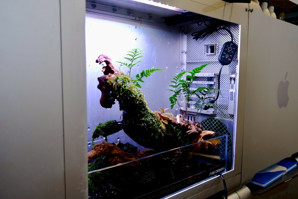 iPhone 容量滿了別急著換 16!小資女發現台北維修神店