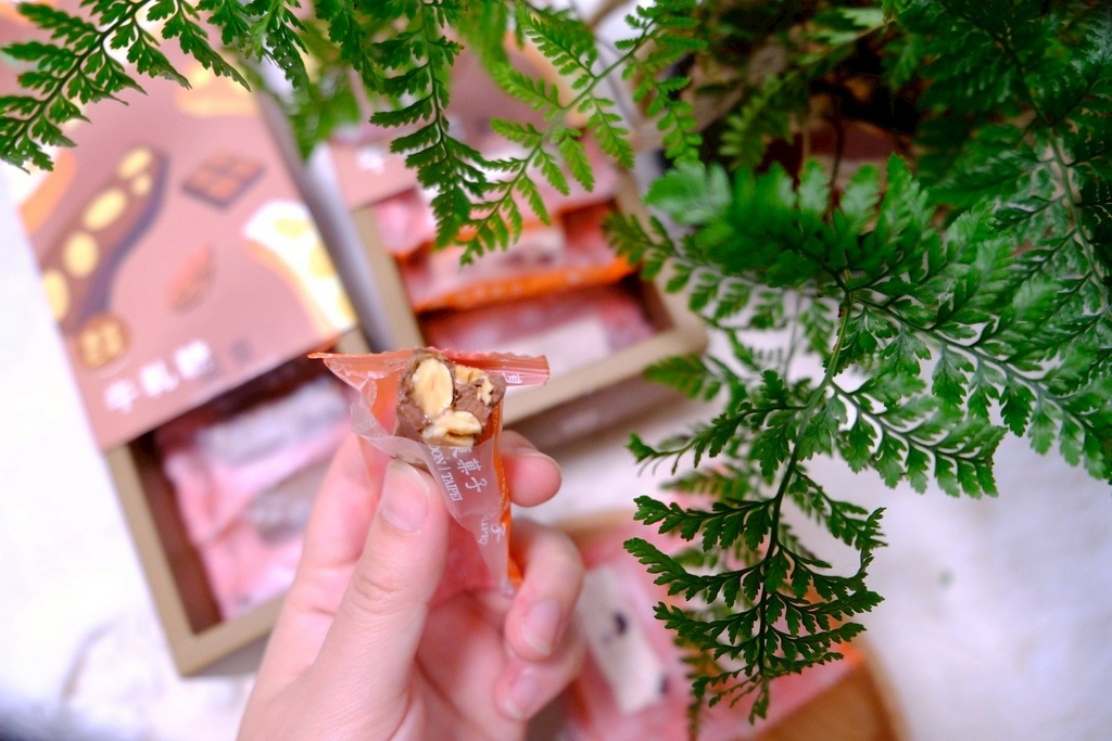 2026春節禮盒開箱✨樂東菓丼：夏威夷豆塔界的天花板？馬年送