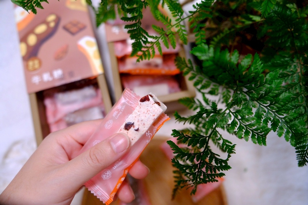 2026春節禮盒開箱✨樂東菓丼：夏威夷豆塔界的天花板？馬年送