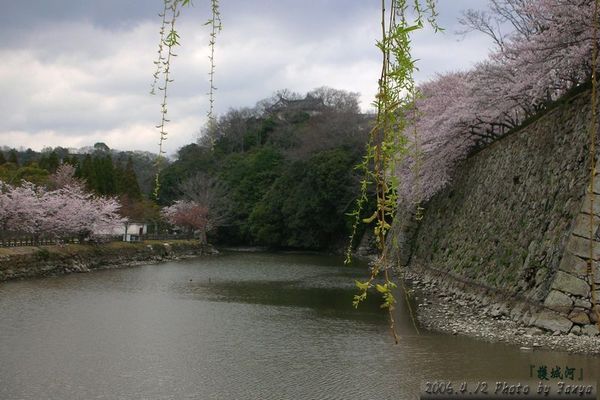 護城河也有一番美景