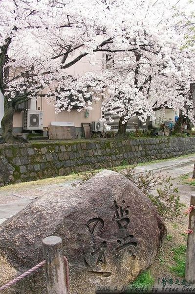 『哲學之道』