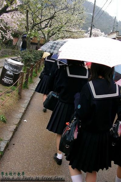 下雨天，沒想到當地學生也來湊熱鬧，校外教學看櫻花！