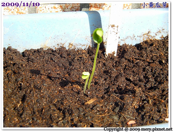 SANY0005.JPG SANY0005.JPG