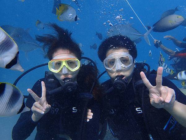 P1120047.JPG P1120047.JPG