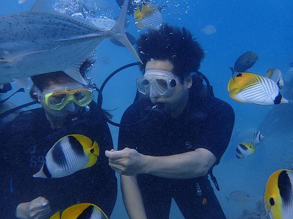 P1120162.JPG P1120162.JPG