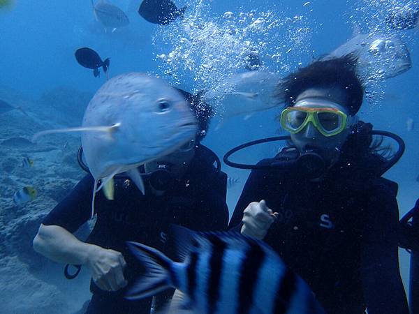 P1120361.JPG P1120361.JPG