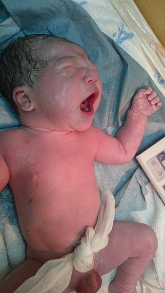 2017-11-07 17.14.43.jpg 2017-11-07 17.14.43.jpg