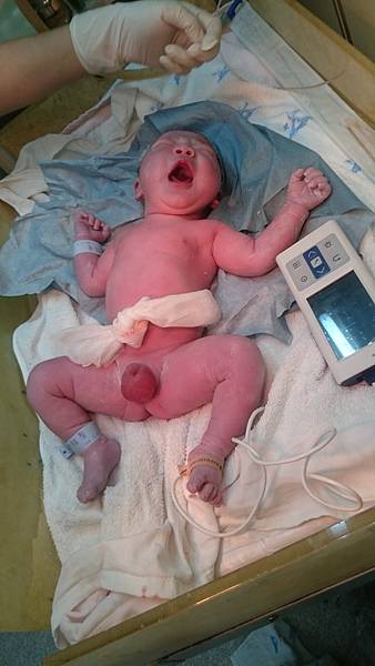 2017-11-07 17.14.34.jpg 2017-11-07 17.14.34.jpg