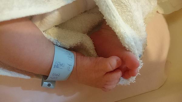 2017-11-09 10.34.58.jpg 2017-11-09 10.34.58.jpg