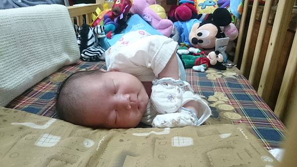 2017-11-30 11.27.15.jpg 2017-11-30 11.27.15.jpg