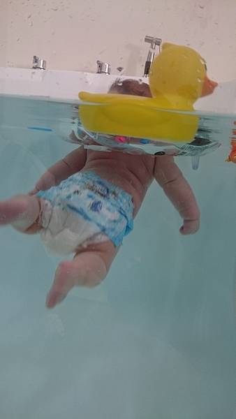 2017-12-30 11.12.00.jpg