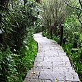 IMG_1127.JPG