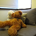 IMG_1183.JPG