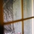 窗