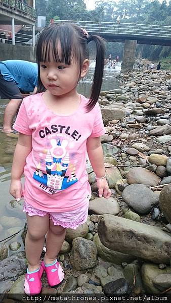 DSC_0832.JPG DSC_0832.JPG