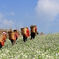 葉繁男雲南紅土地系列1入選奬