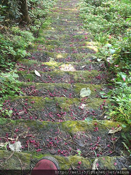 永春寮步道 (15).JPG