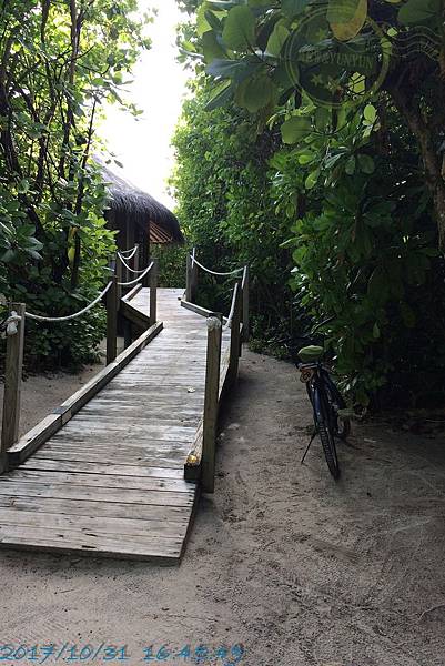 島上設施108 島上設施108