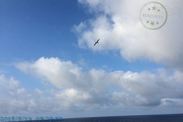 盛世37.jpg 盛世37.jpg