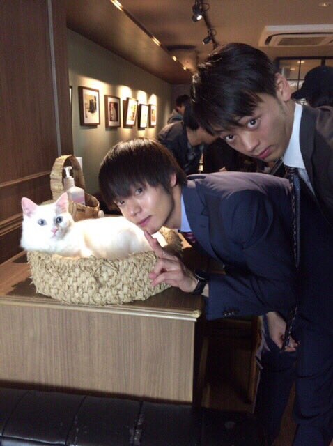 cat.jpg cat.jpg