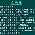 投影片63.JPG