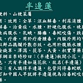 投影片162.JPG