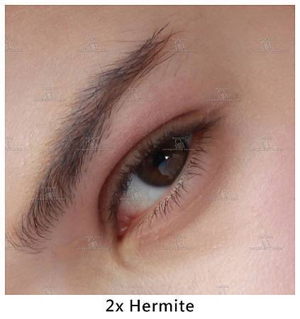 portrait_2_hermite.jpg