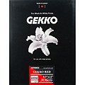 GEKKO Red