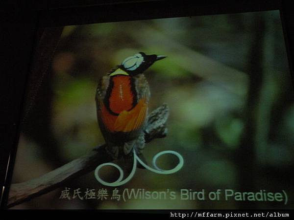 DSCN1913.JPG DSCN1913.JPG