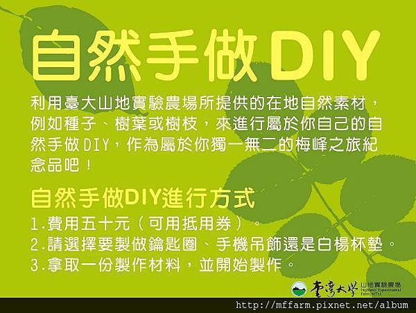 1020304 06 自然手做DIY