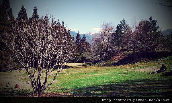 C360_2014-02-25-12-20-18-542 C360_2014-02-25-12-20-18-542
