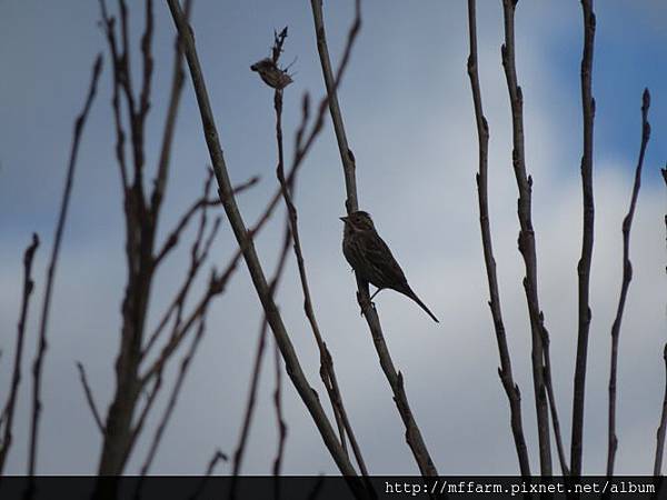 IMG_5141 IMG_5141