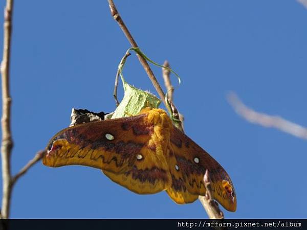 IMG_5471 IMG_5471