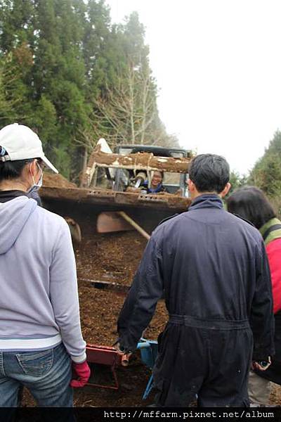 20150127-園藝系實習學生開山貓(學生攝) (13)