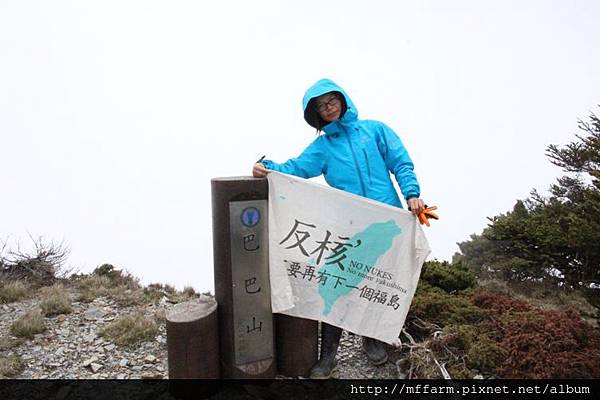 140502南湖中央尖 巴巴山 芭樂