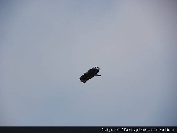 DSCN1611 DSCN1611
