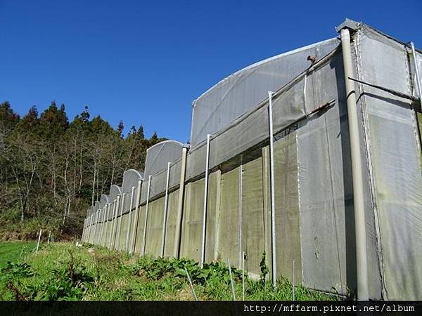 單斜溫室側面