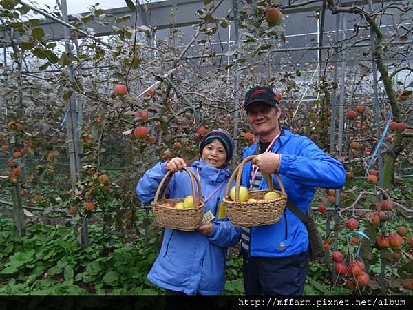 20161110(肖)吳曼羽 (6) 20161110(肖)吳曼羽 (6)